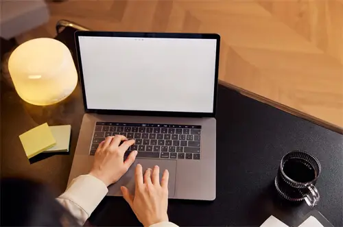 白色柿子寓意什么含义